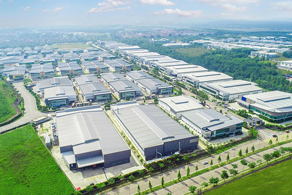 Grupo Co., Ltd de la máquina taponadora de Changchun